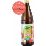 RAPUNZEL BIO NEBIO Bio jablečný ocet, demeter 750 ml – Zboží Dáma