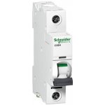 Schneider Electric A9F07116 – Hledejceny.cz