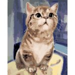 ZUTY Malování podle čísel ZVĚDAVÁ KOČKA 40 x 50 cm – Hledejceny.cz