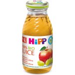 HiPP BIO Jablečno-hroznová 200 ml – Zboží Dáma