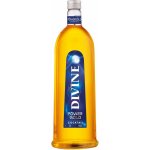 Boris Jelzin Power Gold 16,6% 1 l (holá láhev) – Zbozi.Blesk.cz