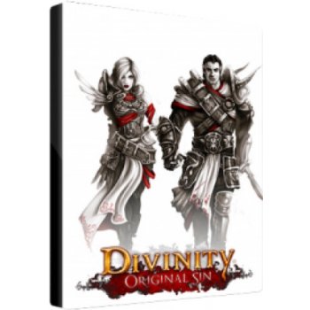 Divinity Original Sin