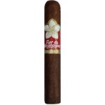 Joya de Nicaragua Flor de Nicaragua Colorado Robusto – Zboží Dáma