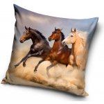 Carbotex koně 40 x 40 cm – Sleviste.cz
