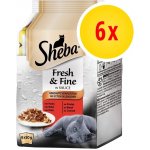 Sheba Fresh & Fine Rybí výběr ve šťávě 6 x 50 g – Zboží Mobilmania