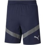 Puma TeamFINAL Training Shorts – Zbozi.Blesk.cz