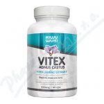 Vitex agnus castus Drmek obecný extrakt 2: 1 500 mg 90 kapslí – Zboží Mobilmania