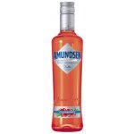 Stock Amundsen Cranberry 1 l (holá láhev) – Zboží Dáma