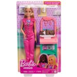 Mattel Barbie PEDIATRIČKA – Zboží Dáma