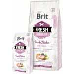 Brit Fresh Chicken with Potato Puppy Healthy Growth 2,5 kg – Sleviste.cz