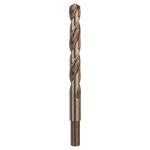 Bosch 2.608.585.903 – Hledejceny.cz