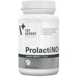 VetExpert Hepatiale Forte Small breed & cats 40 kapslí – Zboží Mobilmania