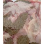 Boxxi Kapří vnitřnosti mražené 500g – Hledejceny.cz