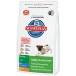 Hill’s Science Plan Puppy Mini Chicken 3 kg – Hledejceny.cz