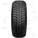 Sebring Formula Snow+ 601 195/60 R15 88T