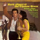 Alpert, Herb & The Tijuana Bras - What Now My Love LP