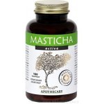 Masticha Terapia Active 100 tablet – Hledejceny.cz