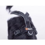Non Stop Postroj pro psy dogwear Line harness 5.0 – Zboží Dáma