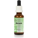 Bachovy květové esence STRACH 30 ml