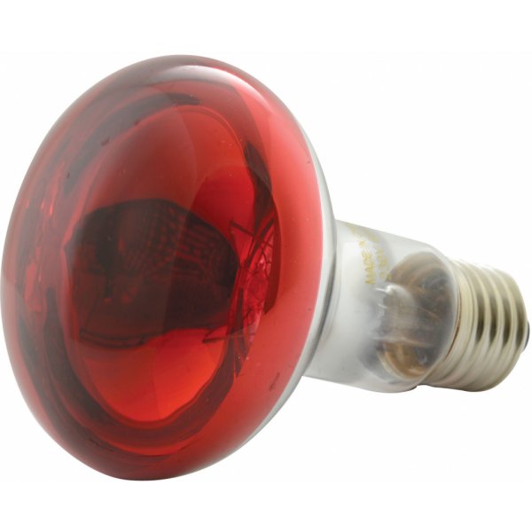 Žárovka QTX R80 230V/60W E27, červená