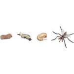 Safari Ltd. SFS662616 Životní cyklus Komár – Sleviste.cz