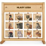 Lesní svět Hlasy lesa Stolní – Hledejceny.cz