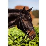 Kerbl Kožená uzdečka černá – Zbozi.Blesk.cz