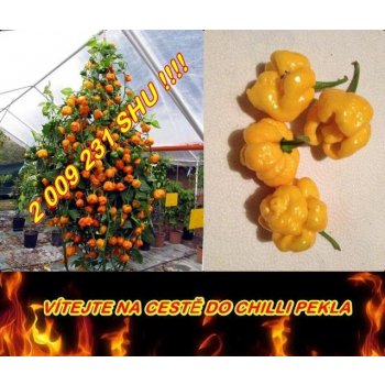 NEJPÁLIVĚJŠÍ CHILLI TRINIDAD MORUGA SCORPION YELLOW /5 SEMEN/