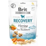 Brit snack Recovery herring & sea buckthorn 150 g – Hledejceny.cz