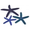 Akvarijní dekorace BiOrb Star Fish Decor set modrá 12, 10 a 8 cm