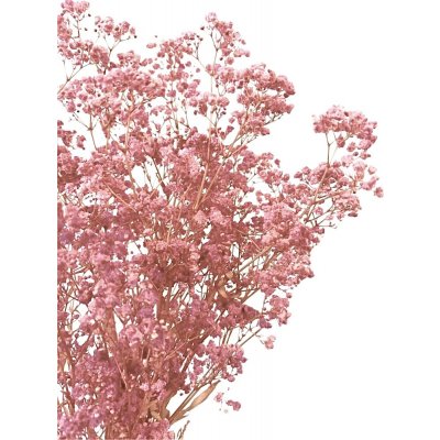 Nevěstin závoj/stabilizovaná Gypsophila svazek/kytice RŮŽOVÁ 100g – Zbozi.Blesk.cz
