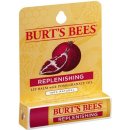 Burt´s Bees Lip Care regenerační balzám na rty (with Pomegranate Oil) 4,25 g