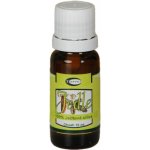 Green idea Jedle bělokorá 100% silice 10 ml – Hledejceny.cz