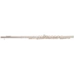 Bacio Instruments BFL-100S – Zboží Dáma