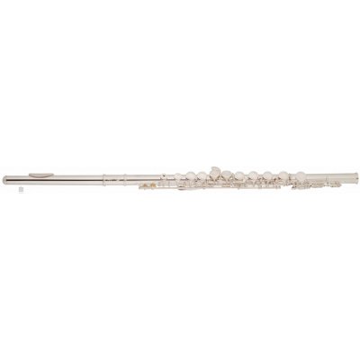 Bacio Instruments BFL-100S – Zboží Dáma
