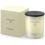 Cereria Mollá Black Orchid & Lily 230 g – Zboží Dáma