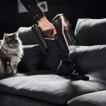 Rowenta X-Force 15.60 Animal 230 AW RH99F1 – Hledejceny.cz