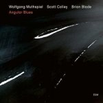 Angular Blues - Wolfgang Muthspiel CD – Hledejceny.cz