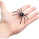Pavouk plastový velký