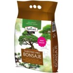 RAŠELINA SOBĚSLAV Substrát PREMIUM pro bonsaje 5 l – Zbozi.Blesk.cz