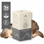 Hrotlife Hlíva Ústřičná s Vitamínem C 60 kapslí – Hledejceny.cz