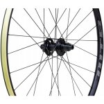 WTB PROTERRA Light – Zboží Dáma