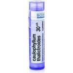 CAULOPHYLLUM THALICTROIDES POR 30CH GRA 1X4G – Hledejceny.cz