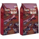 Taste of the Wild Southwest Canyon hovězí jehněčí divočák 2 x 12,2 kg – Hledejceny.cz