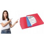 Esselte Box na spisy s gumičkou Jumbo Vivida, Vivida červená, 40 mm, A4, PP – Hledejceny.cz