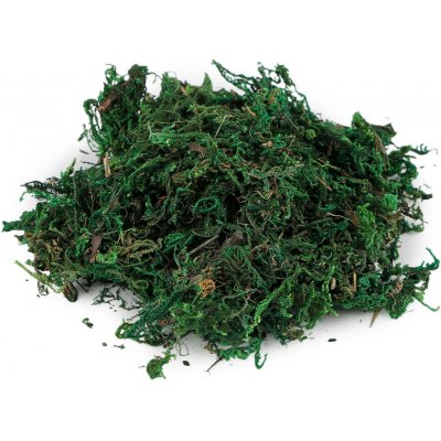 Dekorační mech 25 g zelená 1 sáček – Zboží Dáma