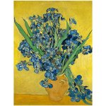Fedkolor Vincent van Gogh - Irises obraz barevná – Hledejceny.cz