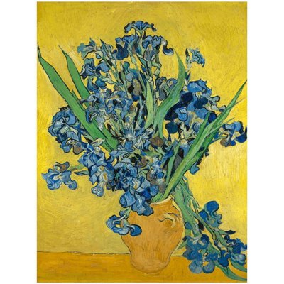 Fedkolor Vincent van Gogh - Irises obraz barevná – Hledejceny.cz