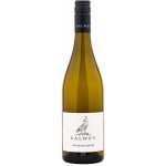 Weingut Salwey Graubungunder Gutswein Rulandské šedé suché bílé 2022 13% 0,75 l (holá láhev) – Hledejceny.cz