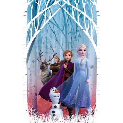 Fotozáclony Frozen 2 140x245cm FCS L 7165 – Hledejceny.cz